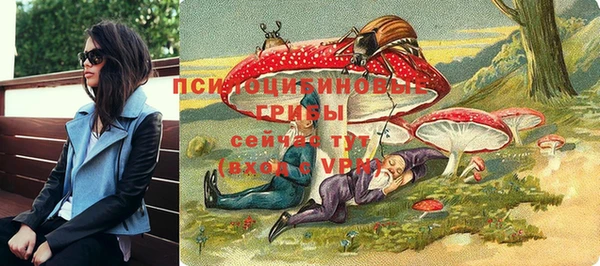 дживик Алексин