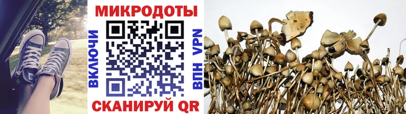 ОМГ ОМГ зеркало  Смоленск  Псилоцибиновые грибы Magic Shrooms 
